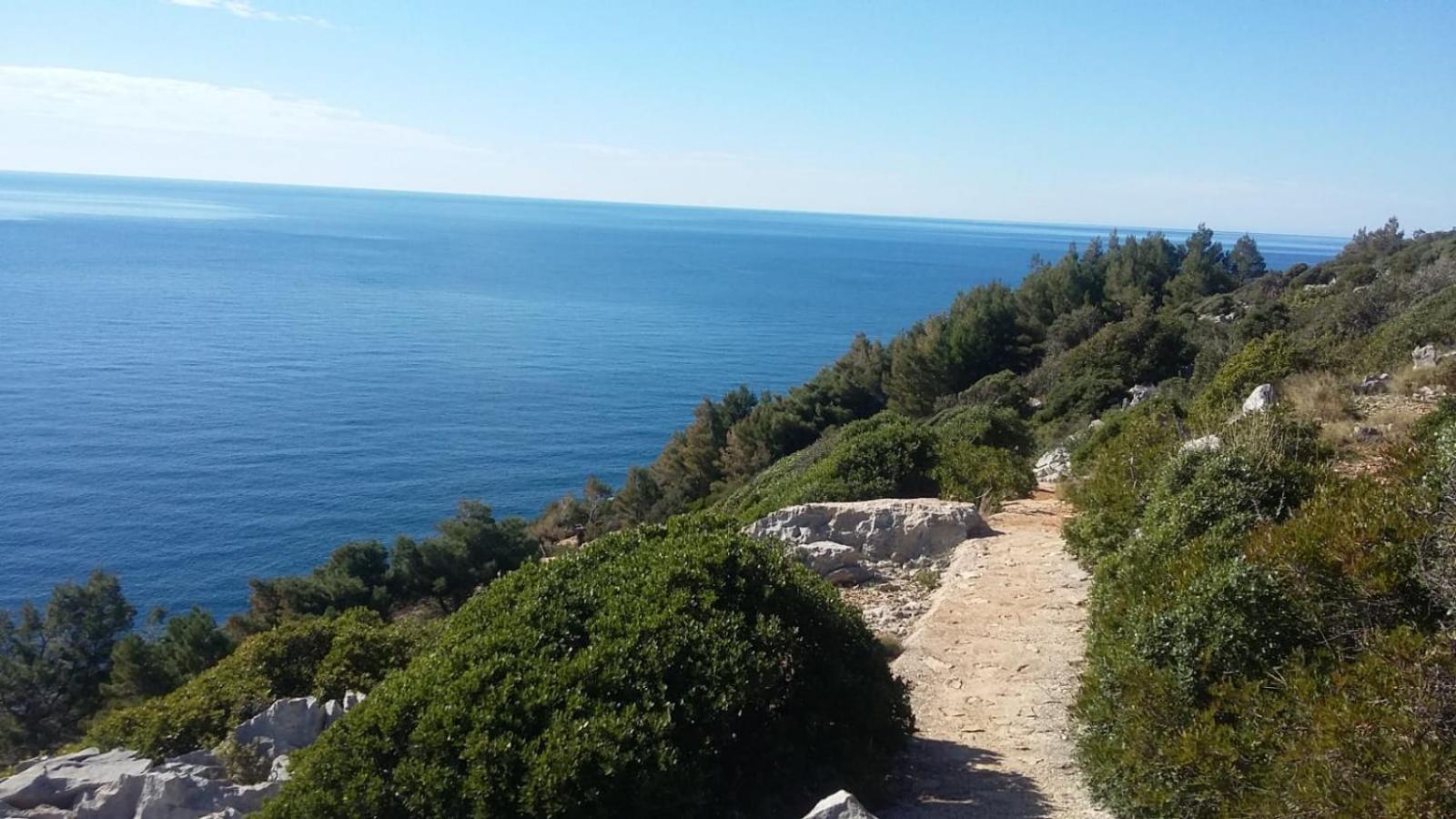 Apartment Nadine Mljet Mit Meerblick Okuklje Bagian luar foto