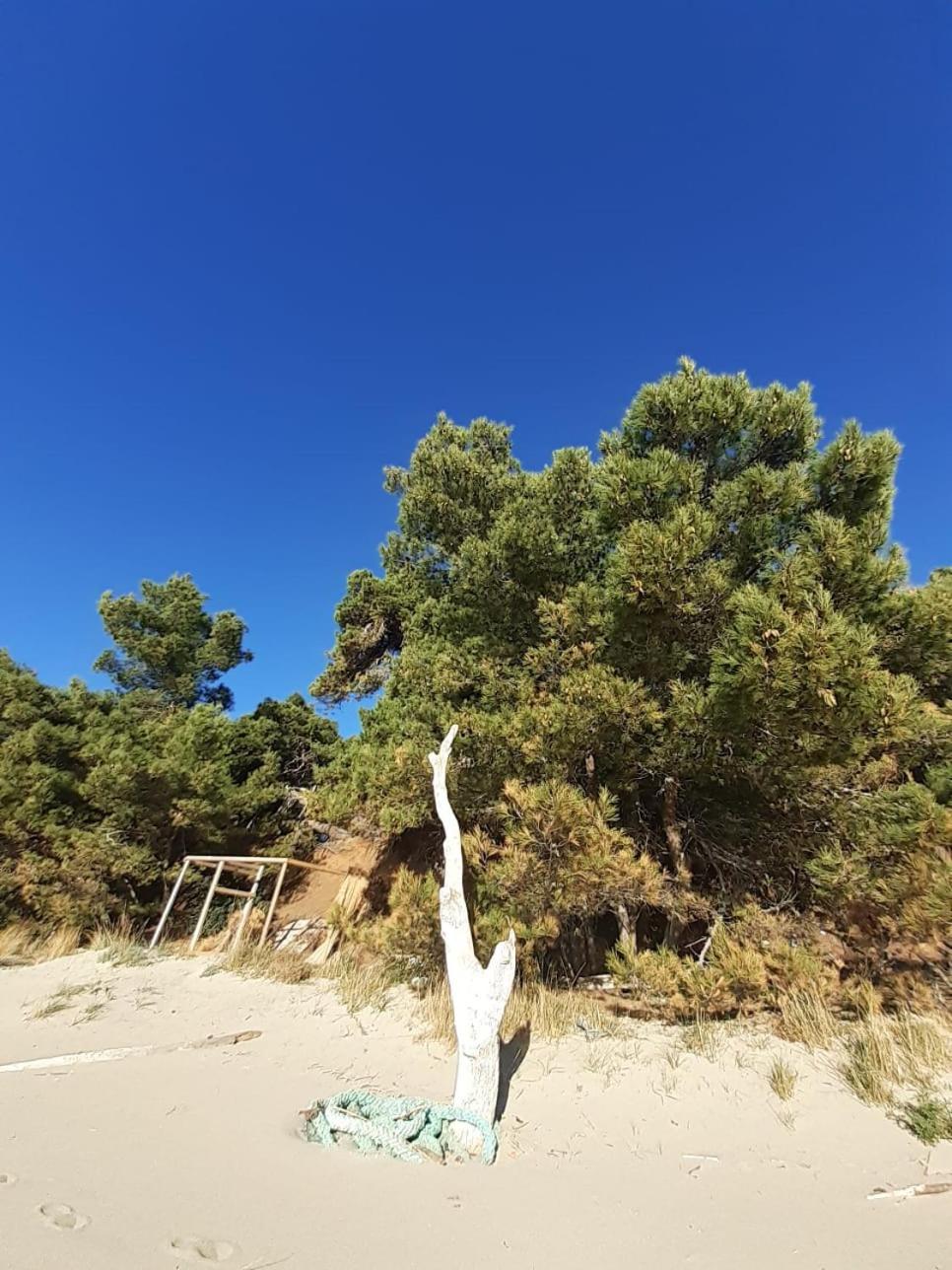 Apartment Nadine Mljet Mit Meerblick Okuklje Bagian luar foto