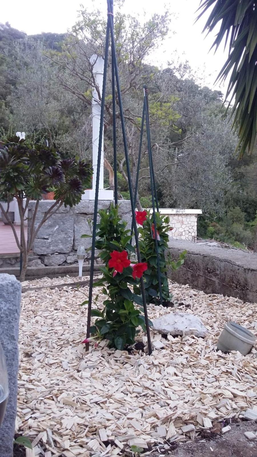 Apartment Nadine Mljet Mit Meerblick Okuklje Bagian luar foto