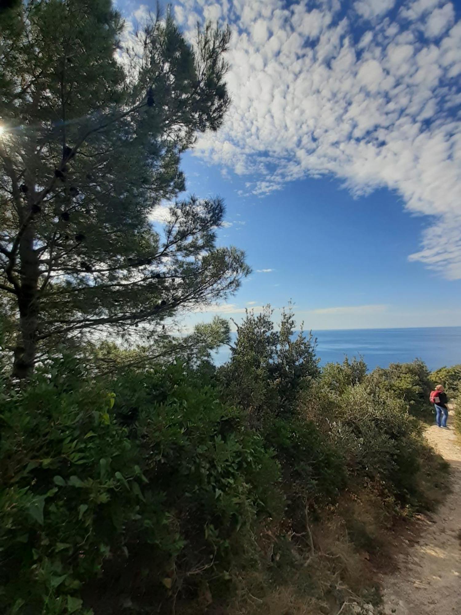 Apartment Nadine Mljet Mit Meerblick Okuklje Ruang foto